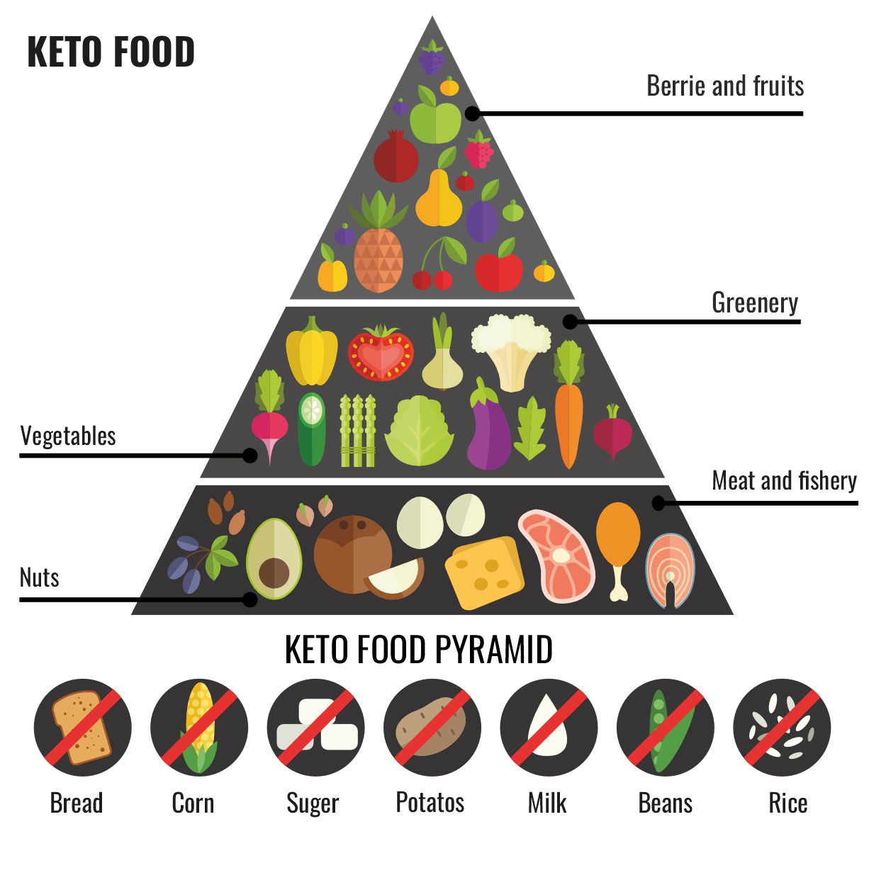Carnivore vs Keto Result, Meal Plan and Food List